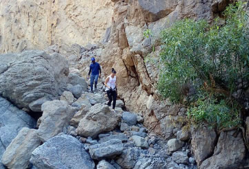 Trekking Tour to Wadi Ain